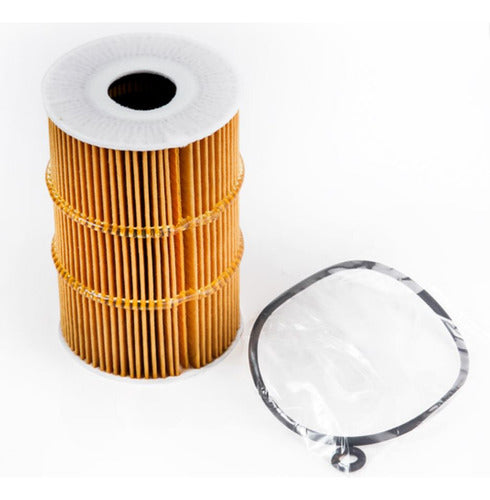 Filtro aceite 10 elem. para Hyundai County 2011 – 2016