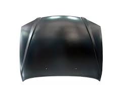 Capot Alternativo Kiacerato 04 - 08