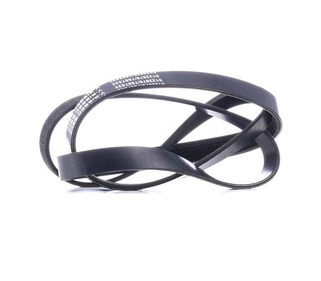 Correa Alternador 2.9 5Pk 1592 Original Para Grand Para Kia Carnival 0K55315987