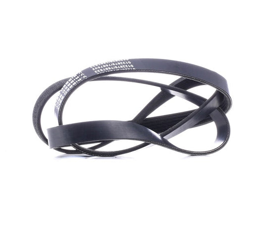 Correa Alternador 2.9 5Pk 1592 Original Para Grand Para Kia Carnival 0K55315987