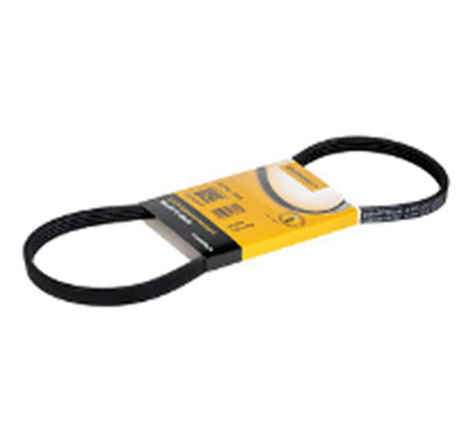 Correa Alternador Dongil Korea