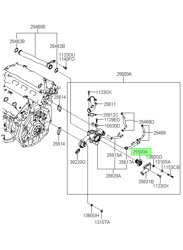 OEM 2550035540 catalogo