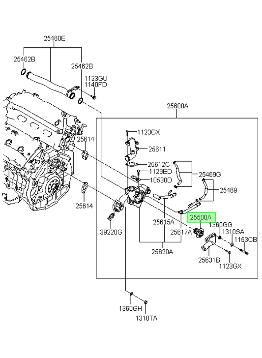 OEM 2550035540 catalogo