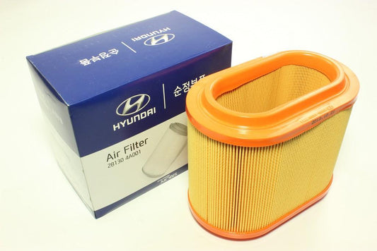 Filtro Aire H1 20 2005 - 2007