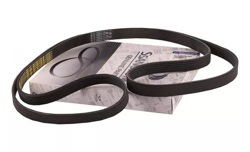 Correa Accesorios New Para SsangYong Actyon