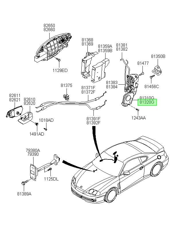 Chapa Orig. Para Hyundai Coupe 2003-2005