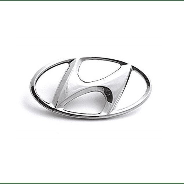 Portón Original Para Hyundai Santa Fe 2005-2013
