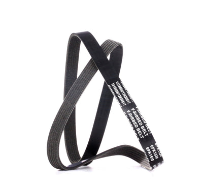 Correas de alternador